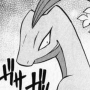 Grovyle (PMD)