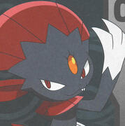 weavile